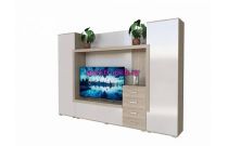 Стенка-горка Эхо №1