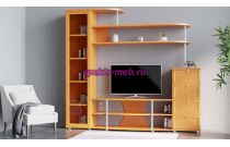 Мебельная стенка Ева-5