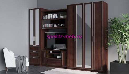 Стенка Елизавета-21