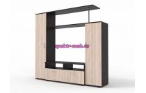 Мебельная стенка Флокс 1