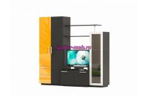 Стенка Флокс 3