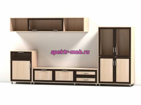 Стенка Шагрэ С