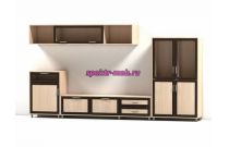 Стенка Шагрэ С