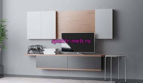 Стенка для гостиной Пример 249