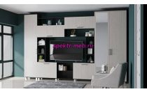 Стенка Ева Р-1