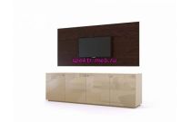 Панель для ТВ Кассиопея 4