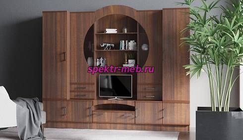 Стенка Рина 15