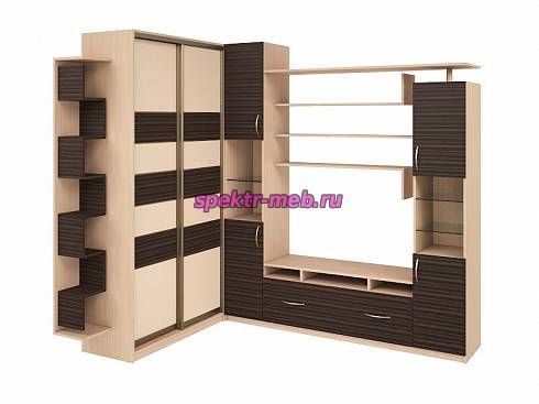 Стенка со шкафом-купе Техно 10