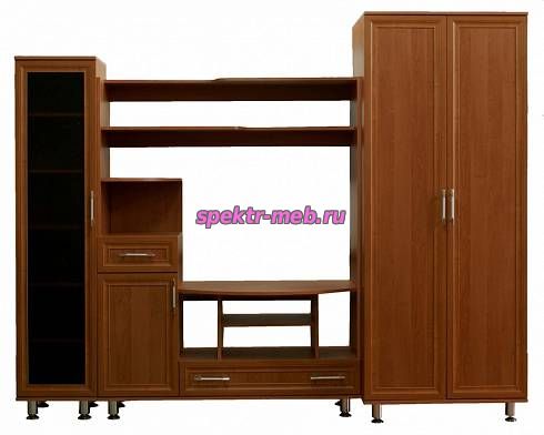 Стенка Триумф-2