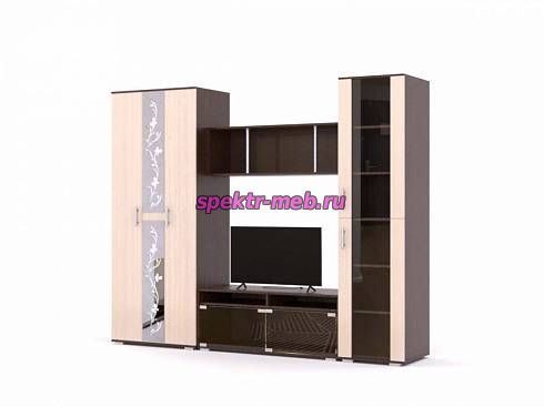 Стенка Флора 3К