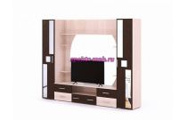 Стенка в гостиную Никсон-7