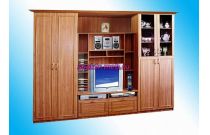 Стенка Николь-1