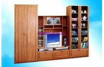 Стенка Николь-3