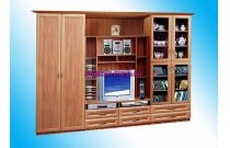 Стенка Николь-4