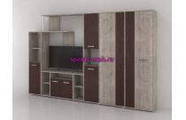 Стенка Остин 6