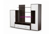 Стенка Эллис 1