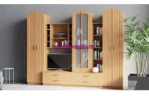 Стенка Ева-1