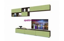 Стенка Полли 16