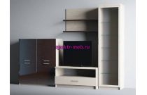 Стенка ДОРОТЕЯ-6