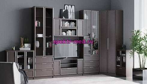 Стенка Елизавета 5