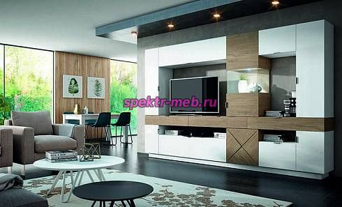 Гостиный гарнитур Premium Design Vitrinen