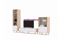 Стенка Далва 038