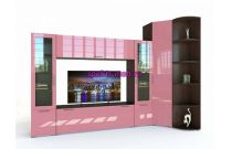 Стенка Ватсон 11.1