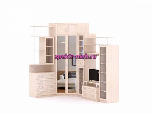 Стенка для гостиной Нюта 6