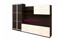 Стенка в гостиную Элиза 13