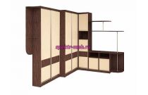 Стенка со шкафом-купе Энни 3