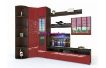 Стенка Ватсон 10