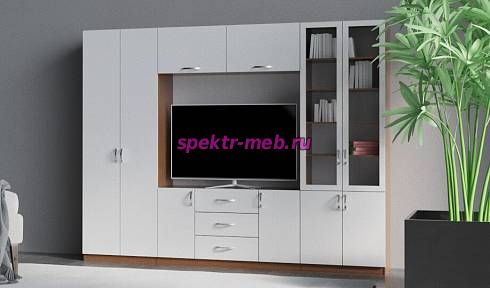 Стенка Дарина 1