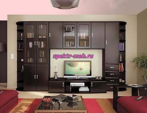 Мебельная стенка Вива-1