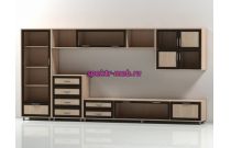 Стенка Шагрэ 4