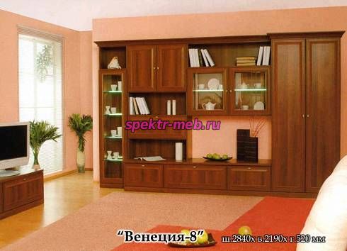 Стенка Венеция 8