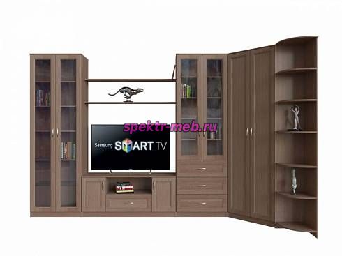 Гостиная Соня Ночь