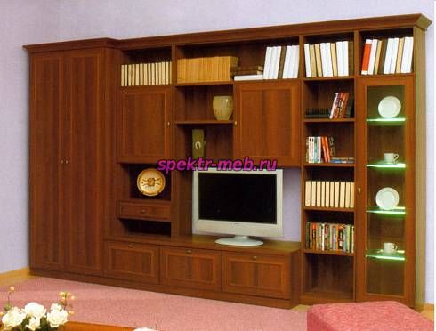 Стенка Венеция 5