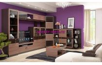 Стенка Николь 1