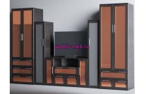 Cтенка в гостиную Комфорт Люкс 5