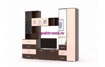 Стенка Рошаль-03