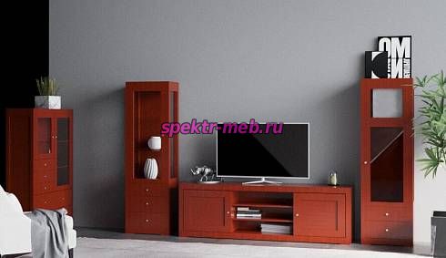 Гостиная Дарина-23