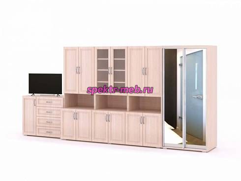 Стенка в гостиную Долька 13