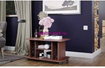 Журнальный столик СЖ 8