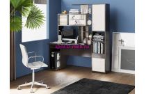 Стол компьютерный Тип 6