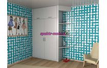 Распашной шкаф 31