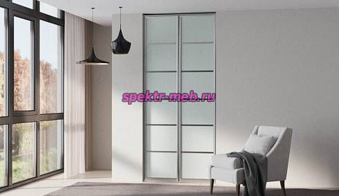 Шкаф-купе Страйк 132