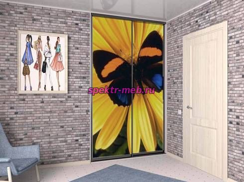 Шкаф-купе 399315