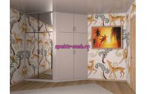 Распашной шкаф 53