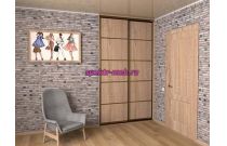 Шкаф-Купе SN72