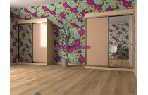 Шкаф-купе 23637